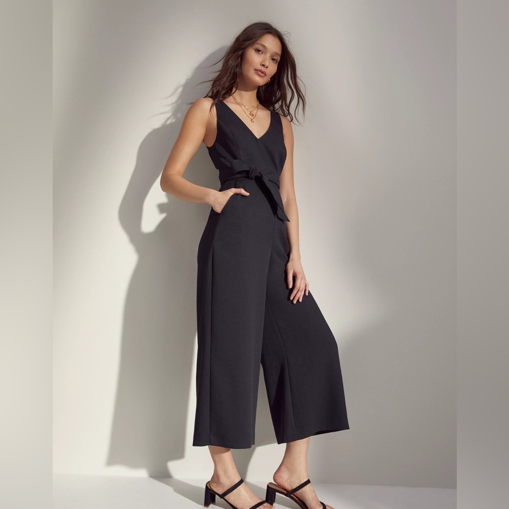 Aritzia Ecoulement Jumpsuit